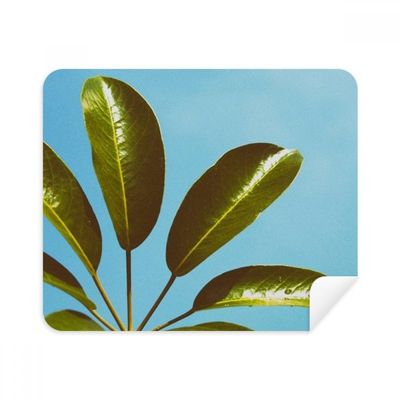 Blue Sky Picture Nature Cleaning Cloth Screen Cleaner 2pcs Suede Fabric