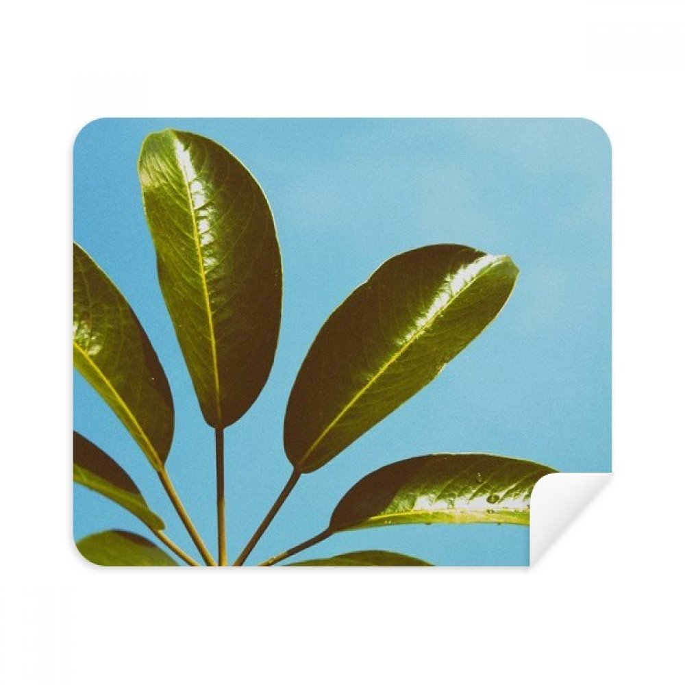 Blue Sky Picture Nature Cleaning Cloth Screen Cleaner 2pcs Suede Fabric