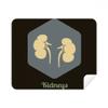 Body Internal Organs Kidney Cleaning Cloth Screen Cleaner 2pcs Suede Fabric view 1