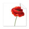 Simplicity Red Flower Art Painting Corn Cleaning Cloth Phone Screen Glasses Cleaner 5pcs view 1
