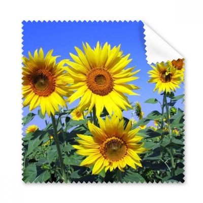 Sunshine Flowers Sunflowers Blue Sky Cleaning Cloth Phone Screen Glasses Cleaner 5pcs