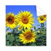 Sunshine Flowers Sunflowers Blue Sky Cleaning Cloth Phone Screen Glasses Cleaner 5pcs view 1