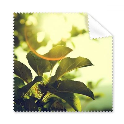 Sunshine Leaves Picture Nature Cleaning Cloth Phone Screen Glasses Cleaner 5pcs