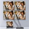 Splitter Equip Hdmi 1.4 Ultraslim 4 Puertos view 2