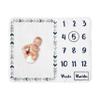 Sweet Jojo Designs Woodland Arrow Boy or Girl Milestone Blanket Monthly Newborn First Year Growth Mat Baby Shower Memory Keepsake Gift Picture - Grey Navy Blue and Mint Green Gender Neutral view 1