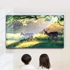 55" Anti Blue Light TV Screen Protector Anti-Glare Film Anti Scratch Filter, Reduce Eye Fatigue and Eye Strain, for Framless,52" 1161 * 661 view 2