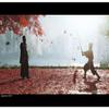Ghost of Tsushima Director's Cut view 4