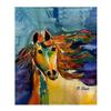 Betsy Drake Colorful Horse Throw view 1