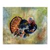 Betsy Drake Colorful Turkey Throw view 1