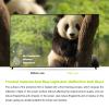 Anti Glare Anti Blue Light Tv Screen Protector, 50-65 Inch Anti Glare Filter for TV/PC Screen,No Fingerprints Oil-Proof Waterproof,55" 1211 * 682 view 3