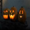 AtmosFearFx Halloween DVD with 48" x 72" White Reaper Brothers Rear Projection Screen (Jack-O-Lantern Jamboree DVD) view 4