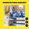 Norb Everyday Sun Light Bulb - Full Spectrum Wellness Lighting, Sunlight-Mimicking Technology for Energy, Mood & Performance. Supports Sleep/Wake Cycles, 5000K, 9W, US Based, Budget-Priced (2-Pack) view 3