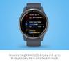 Garmin Venu 2 (Renewed), GPS Smartwatch with Advanced Health Monitoring and Fitness Features, Silver Bezel with GraniteBlue Case and Silicone Band view 3