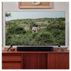 Sonos Beam (Gen 2). The Compact Smart soundbar for TV, Music and More. (Black) International Version, No Warranty view 4