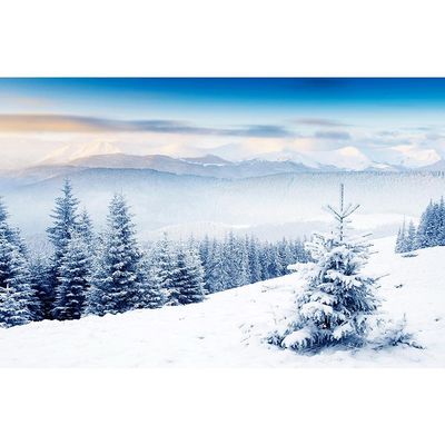 Vinyl Photography Background Props, Winter Landscape Photography Background, Portrait Photography Props A11 9x6ft/2.7x1.8m