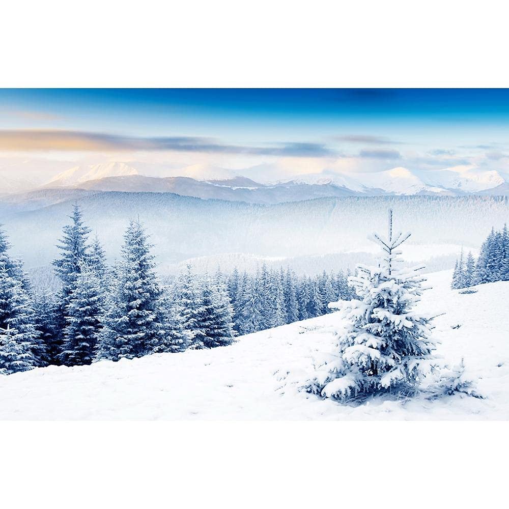 Vinyl Photography Background Props, Winter Landscape Photography Background, Portrait Photography Props A11 9x6ft/2.7x1.8m