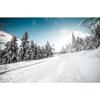 Vinyl Photography Background Props, Winter Landscape Photography Background, Portrait Photography Props A11 9x6ft/2.7x1.8m view 4
