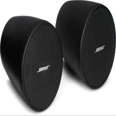 Bose FreeSpace FS2P Pendant-mount Loudspeaker (Pair) - Black