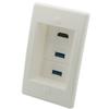 1 Gang 25MM Depth Step 2 Ports USB 3.0 1 Port HDMI Female To Female Wall Plate view 1