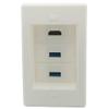 1 Gang 25MM Depth Step 2 Ports USB 3.0 1 Port HDMI Female To Female Wall Plate view 2