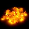 Uonlytech Thanksgiving String Lights Chicken Lamp String LED Fall Lights for Autumn Harvest Halloween Party Decor view 1