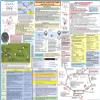 Multi Egine (ME) Flight Training Study Guide Poster view 1