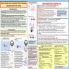 Multi Egine (ME) Flight Training Study Guide Poster view 3