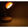 Lemon Orange Cute Led Desk Lamps for Reading Studying USB Rechargeable Adjustable Intensity (Orange) view 2