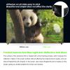 49 Inch Anti Glare Anti Break LCD TV Screen Protector Blue Light Filter,Shielding UV and Radiation Monitor Filter-Matte Gloss Finish,49" 1075 * 604 view 4