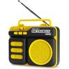 Dolphin Retrobox Mini for Jobsite, Small but Durable Bluetooth Speakers with FM, Rechargeable Music Device, Up to 12 Hour Play Time, Yellow view 1