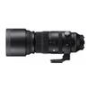 150-600mm F5/-6.3 DG DN for Sony E view 1
