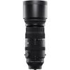 150-600mm F5/-6.3 DG DN for Sony E view 4