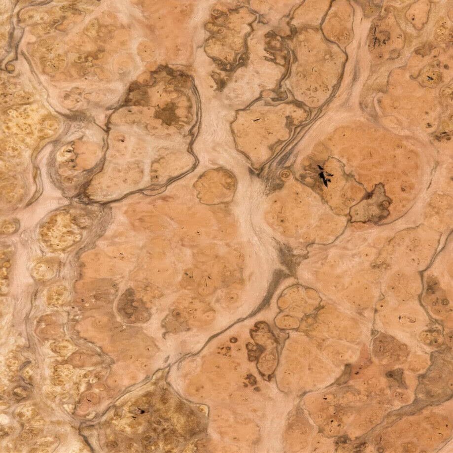 JSO Wood Products Pimento Pepperwood Burl wood veneer 8 inch x 10 inch raw no backing 1/42 inch thickness # 1