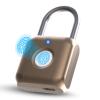 Pothunder Fingerprint Padlock, Smart Padlock, Locker Lock, Biometric Metal Keyless Fingerprint Lock, USB Rechargeable, for Gym Locker, Luggage, Backpack(Placer Gold) view 1
