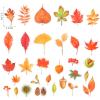 Gersoniel 110 Pieces Fall Leaves Stickers Maple Leaf Stickers for Scrapbooking Journaling Waterproof Autumn Vinyl Decals for Water Bottle Laptop Motorcycle Bicycle Luggage Phone Skateboard view 3