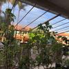 FUFU Roller Shade Blind Heavy Duty Waterproof Clear Tarpaulin with Eyelets,0.55mm Transparent PVC Glass See Through Tarp,Rainproof Outdoor Courtyard Plant Canopy Cover,650g/M, Size Can Be Customize view 2