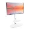 AVF Steel TV Floor Stand with TV Mount Column for 32" to 65" TVs in Satin White view 3