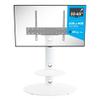AVF Steel TV Floor Stand with TV Mount Column for 32" to 65" TVs in Satin White view 4