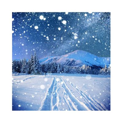 DORCEV 10x10ft Winter Night View Backdrop Beautiful Nature Snowy Trees Outdoor Mountain Scenery Snowfield Wheel Tracks Photography Background for Kids Family Christmas Party Banner Studio Props
