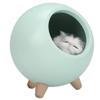 Small Night Light, Exquisite Sweet Cat Lamp Room Decor for Women Lovely for Birthday for Wife Mom Teen Girls(Green) view 1