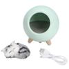 Small Night Light, Exquisite Sweet Cat Lamp Room Decor for Women Lovely for Birthday for Wife Mom Teen Girls(Green) view 2