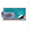 VIVIDSTORM-Home Screen,3D Long Focus Ambient Light Rejecting Screen,White Housing Motorized Floor-Rising Projection Screen,Compatible with Lumen up to 1800ANSI of Normally Projector,VWSDSTALR84H-3D view 1