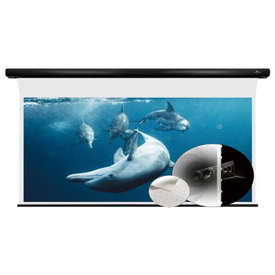VIVIDSTORM-Home/Movie Screen Sound Transparent Perforated All White Cinema PVC,Compatible with Ordinary Projector,VBMSLPWA120H