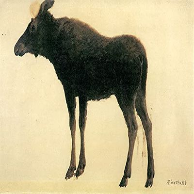 Albert Bierstadt : Moose : Archival Quality Art Print