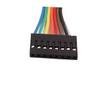 New Lon0167 Female to Female 8P Jumper Wire Ribbon Cable Pi Pic Breadboard DIY 50cm Long(Weiblich zu weiblich 8 p jumper draht bandkabel pi pic breadboard diy 50 cm Lan_g view 2