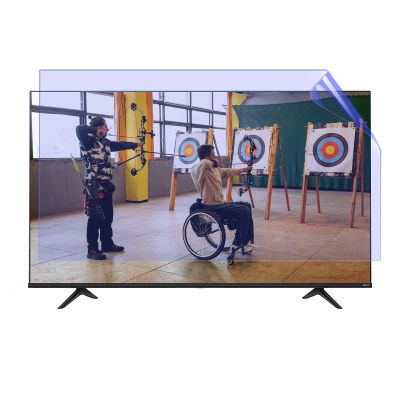 32-75 inch TV Display Protector Film Anti-Glare/Anti Blue Light/Anti Scratch/Anti-Fingerprint and dust,Easy to Install,32" 704 * 395