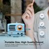 Muzen Portable Bluetooth Speaker, OTR Metal Retro Small Wireless Speaker, FM Radio with Antenna AUX, 10h+ Long Playtime, High Fidelity Stereo Audio with Suitcase, Room Office Decor, Festival Gift view 2