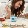 Muzen Portable Bluetooth Speaker, OTR Metal Retro Small Wireless Speaker, FM Radio with Antenna AUX, 10h+ Long Playtime, High Fidelity Stereo Audio with Suitcase, Room Office Decor, Festival Gift view 4