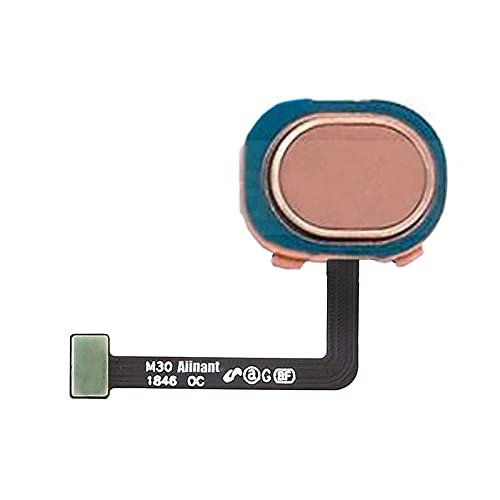 Back Home Button Touch ID Key Fingerprint Sensor Flex Cable for Samsung Galaxy M30 - Gold
