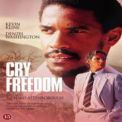 MAJENG MEDIA AB Cry Freedom